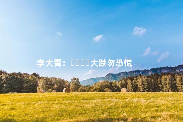 李大霄：大跌勿恐慌